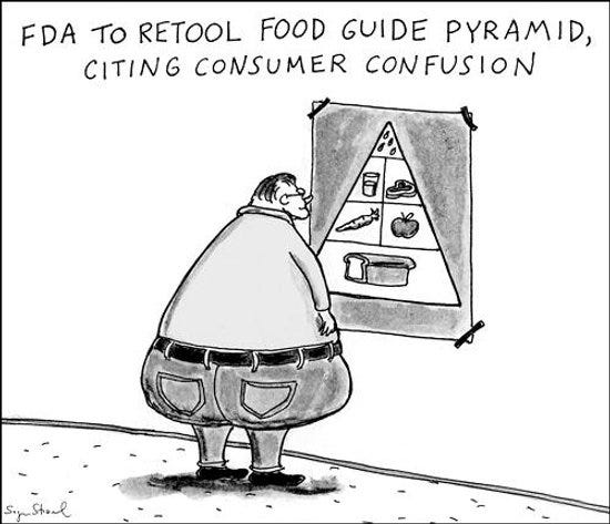 food pyramid