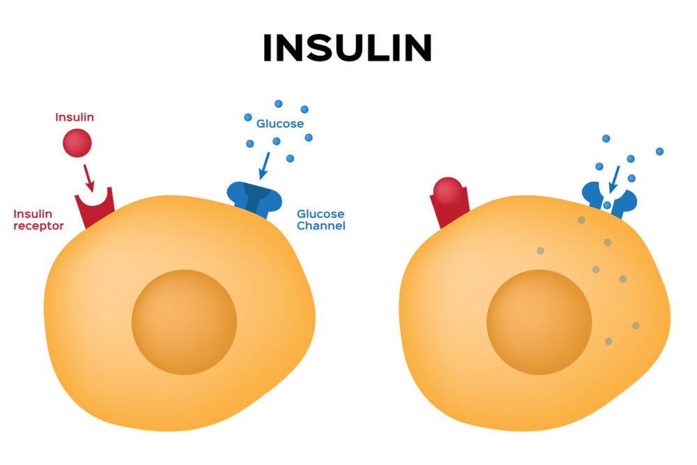 Insulin